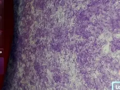 Amateur Best live sex cam show of Cris_and_noah