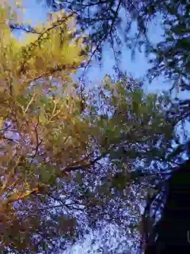 Cam4 Live Sex of letoile82