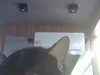 Camsoda Live Sex Cam of skinnykittencam