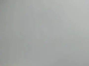 Chaturbate Sex Chat of tsdannacoxx