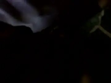 Chaturbate Live Sex of transcendental_tara