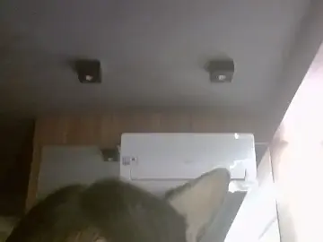 Stripchat Sex Cam of SkinnyKitten